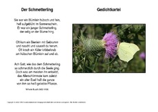 Der-Schmetterling-Busch.pdf